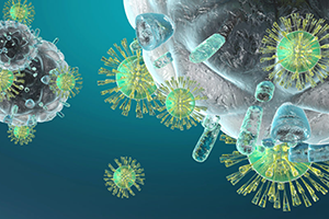Immuno-Hormonologie